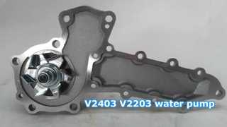 ปั้มน้ำ V2403 V2203